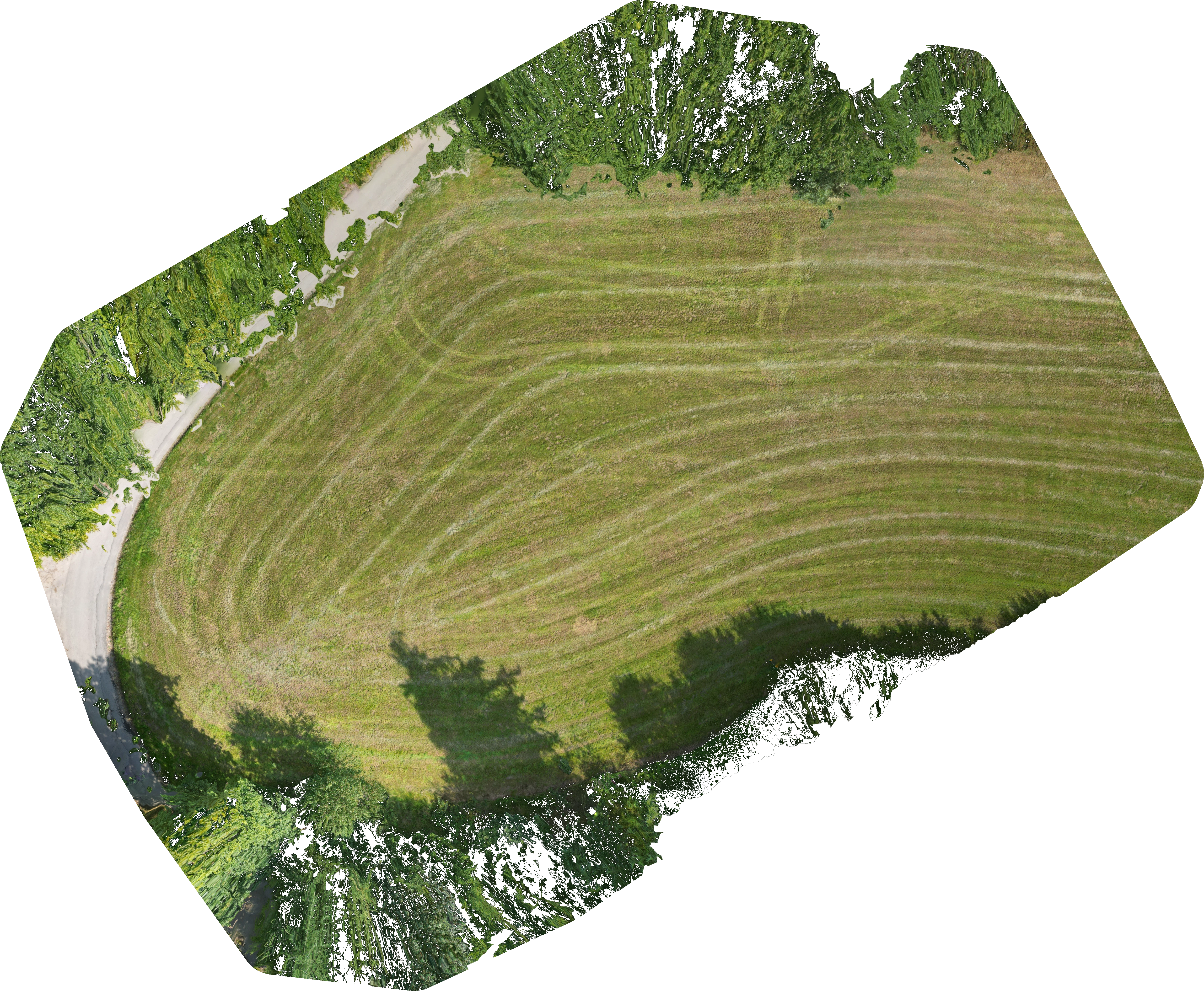 2D Mapping and Measurements